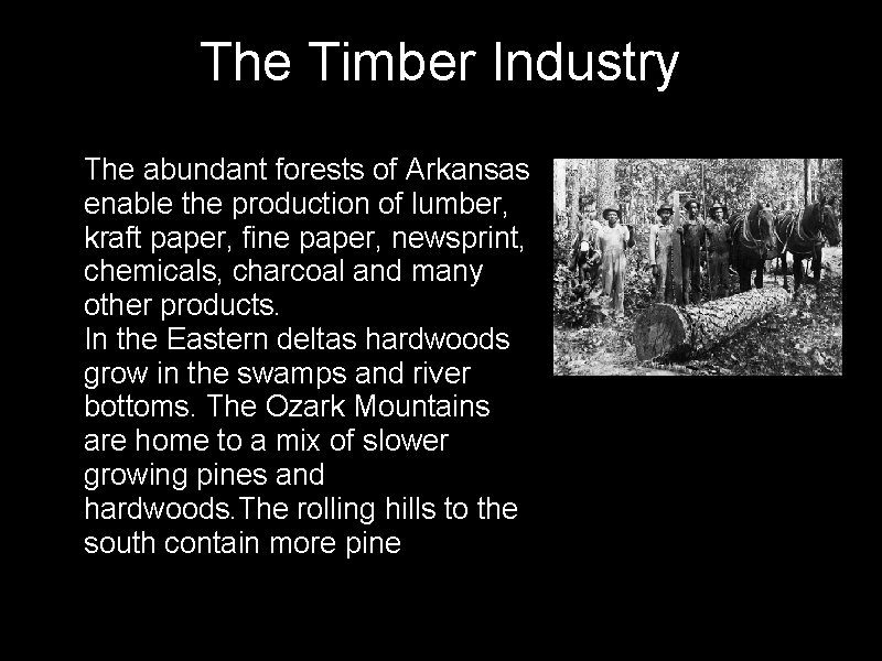 The Timber Industry • The abundant forests of Arkansas enable the production of lumber,