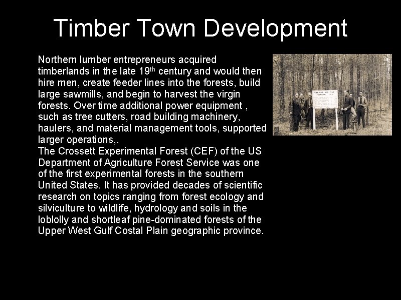 Timber Town Development • Northern lumber entrepreneurs acquired timberlands in the late 19 th
