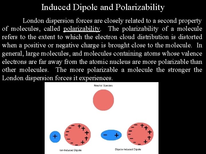 Induced Dipole and Polarizability London dispersion forces are closely related to a second property
