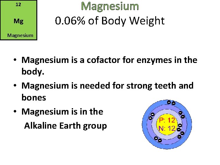 12 Mg Magnesium 0. 06% of Body Weight Magnesium • Magnesium is a cofactor
