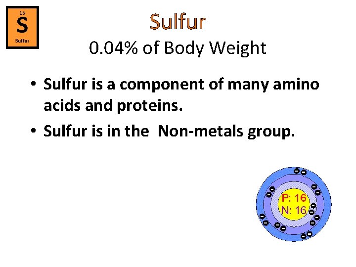 Sulfur 0. 04% of Body Weight • Sulfur is a component of many amino