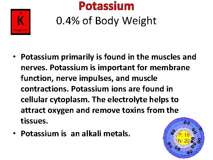 Potassium 0. 4% of Body Weight • Potassium primarily is found in the muscles