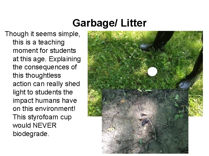 Garbage/ Litter Though it seems simple, this is a teaching moment for students at