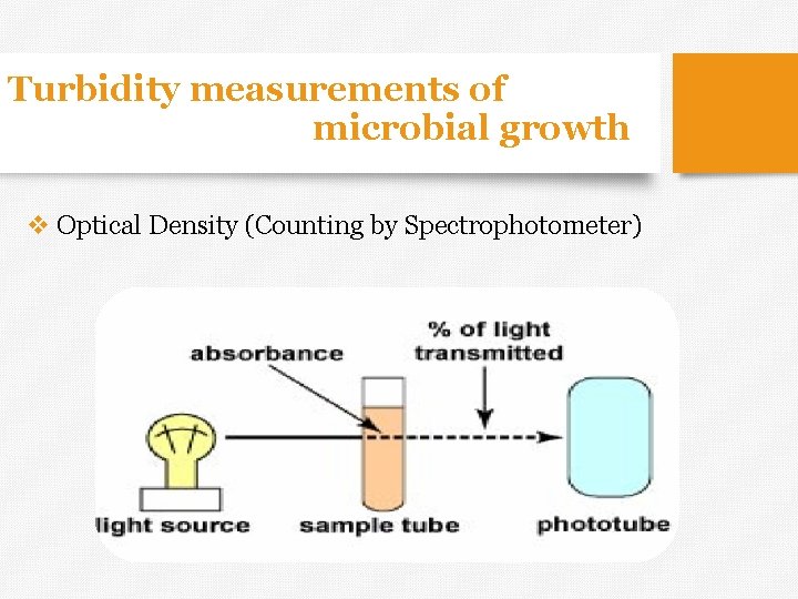 Measurement of Bacterial Growth v Growth is an