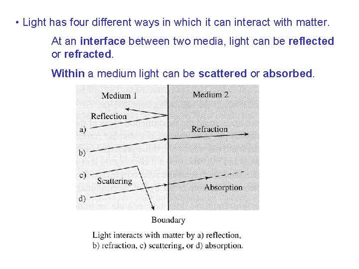  • Light has four different ways in which it can interact with matter.