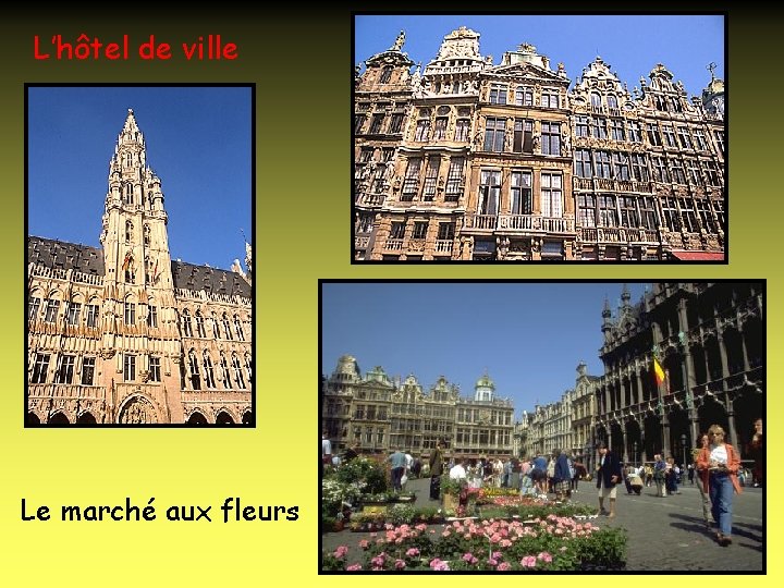 L’hôtel de ville Le marché aux fleurs 