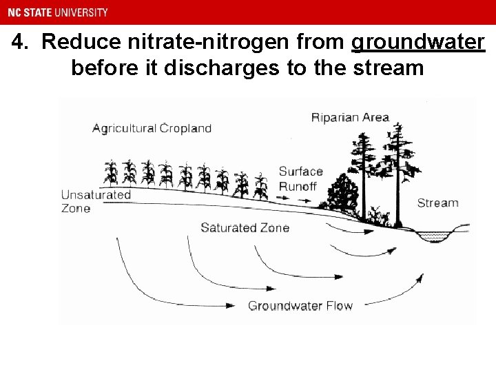 4. Reduce nitrate-nitrogen from groundwater before it discharges to the stream 
