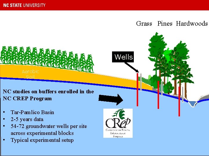 Grass Pines Hardwoods Wells Aerobic Soil NC studies on buffers enrolled in the NC