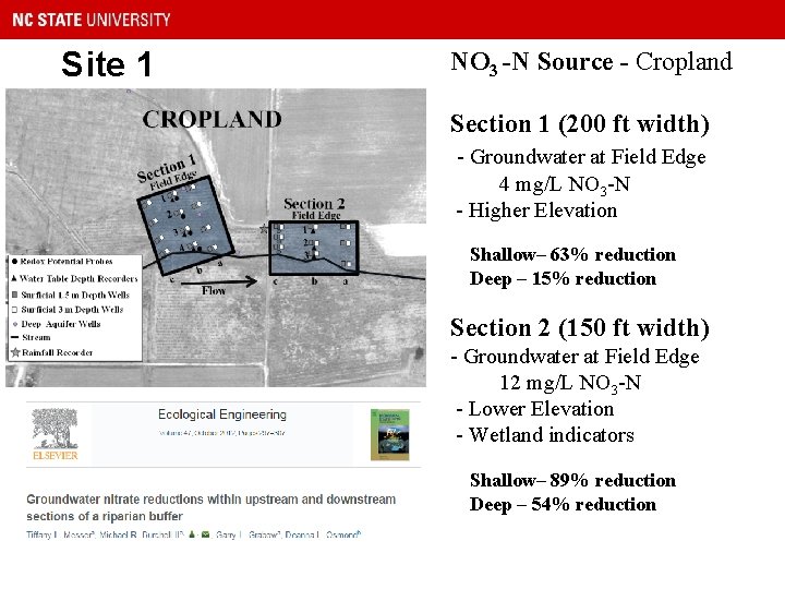 Site 1 NO 3 -N Source - Cropland Section 1 (200 ft width) -