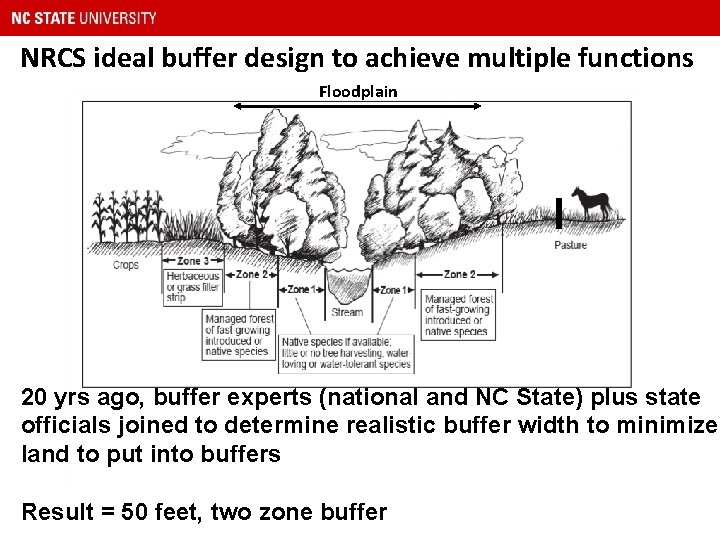 NRCS ideal buffer design to achieve multiple functions Floodplain 20 yrs ago, buffer experts