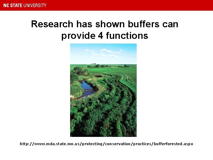 Research has shown buffers can provide 4 functions http: //www. mda. state. mn. us/protecting/conservation/practices/bufferforested.