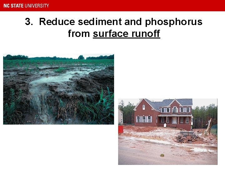 3. Reduce sediment and phosphorus from surface runoff 