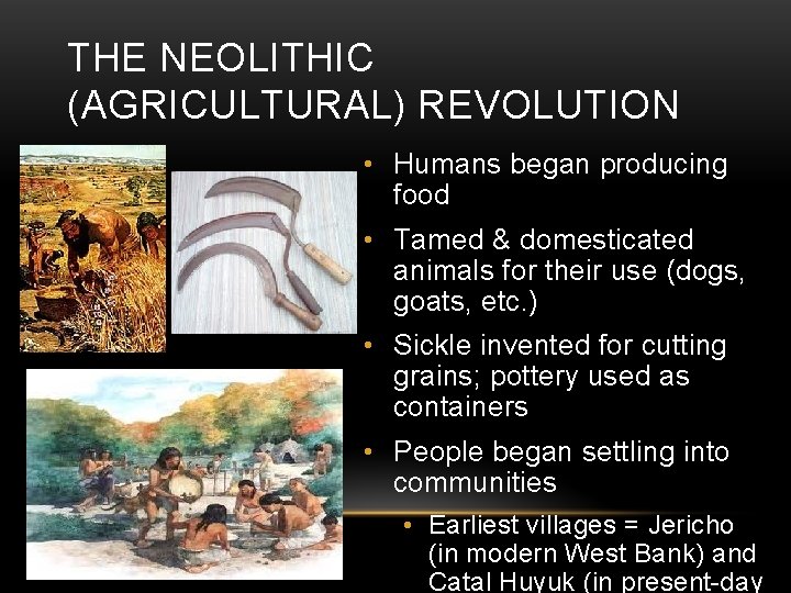 THE NEOLITHIC (AGRICULTURAL) REVOLUTION • Humans began producing food • Tamed & domesticated animals