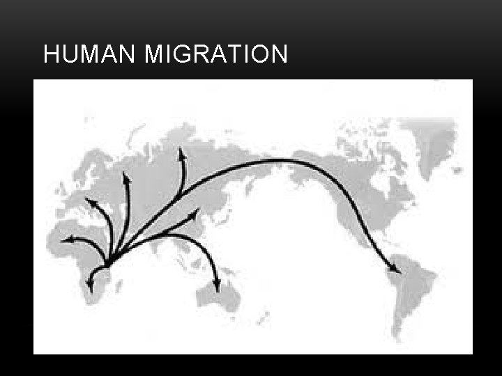 HUMAN MIGRATION 