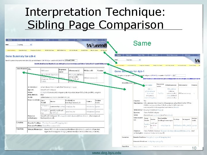 Interpretation Technique: Sibling Page Comparison Same 10 www. deg. byu. edu 