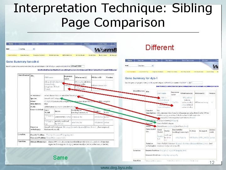 Interpretation Technique: Sibling Page Comparison Different Same 12 www. deg. byu. edu 