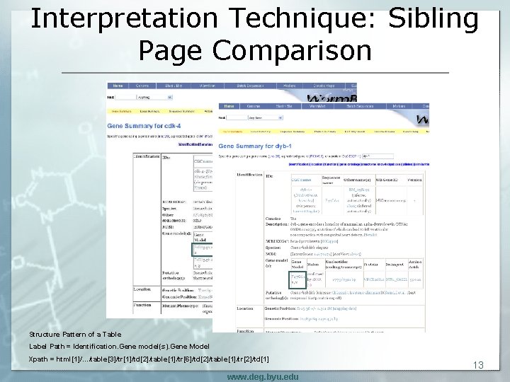 Interpretation Technique: Sibling Page Comparison Structure Pattern of a Table Label Path = Identification.