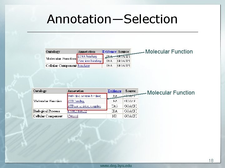Annotation—Selection Molecular Function 18 www. deg. byu. edu 