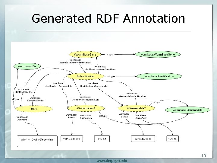 Generated RDF Annotation 19 www. deg. byu. edu 