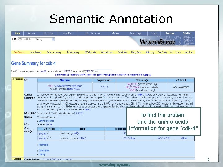 Semantic Annotation § The Hidden Web: § § Hidden behind forms Hard to query