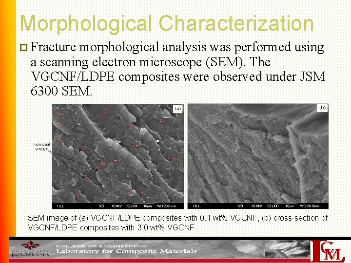 Morphological Characterization p Fracture morphological analysis was performed using a scanning electron microscope (SEM).
