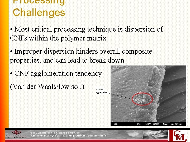 Processing Challenges • Most critical processing technique is dispersion of CNFs within the polymer