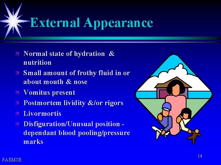 External Appearance ä ä ä FAEMSE Normal state of hydration & nutrition Small amount