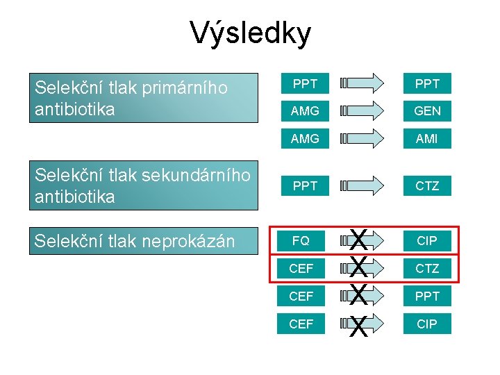 Výsledky PPT AMG GEN AMG AMI Selekční tlak sekundárního antibiotika PPT CTZ Selekční tlak