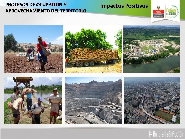 PROCESOS DE OCUPACION Y APROVECHAMIENTO DEL TERRITORIO Impactos Positivos 