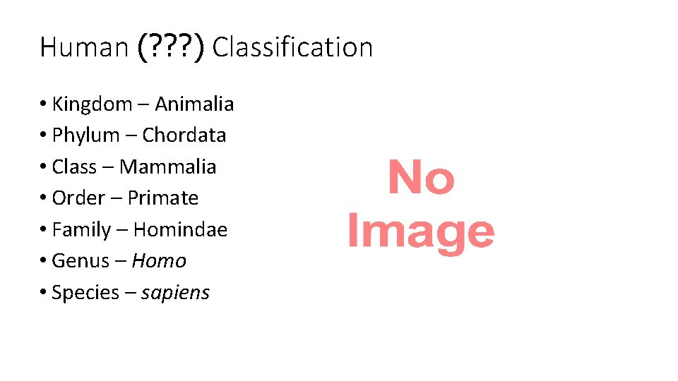 Human (? ? ? ) Classification • Kingdom – Animalia • Phylum – Chordata