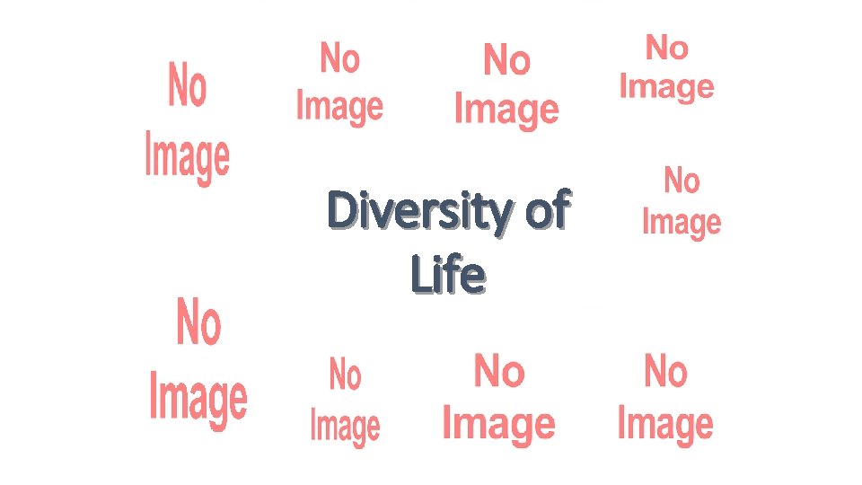 Diversity of Life 