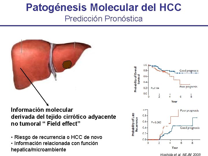 Patogénesis Molecular del HCC Predicción Pronóstica Información molecular derivada del tejido cirrótico adyacente no