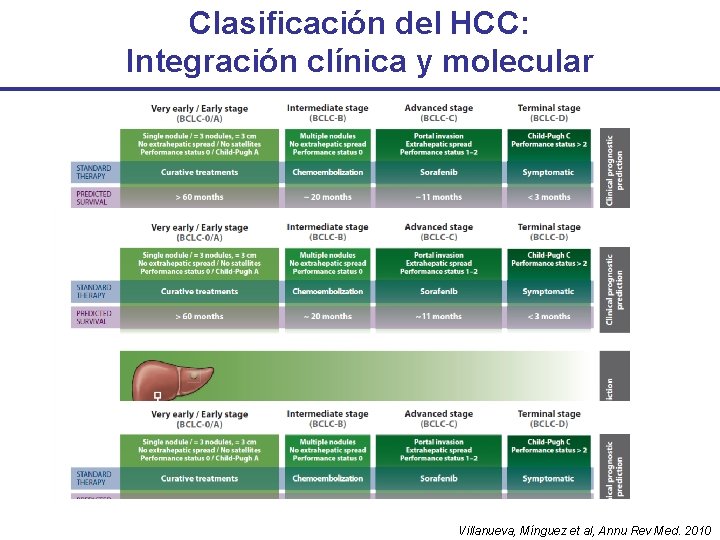 Clasificación del HCC: Integración clínica y molecular Villanueva, Mínguez et al, Annu Rev Med.