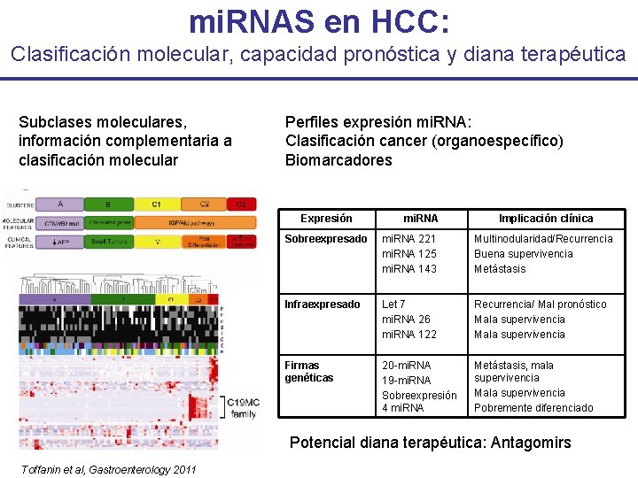 mi. RNAS en HCC: Clasificación molecular, capacidad pronóstica y diana terapéutica Subclases moleculares, información