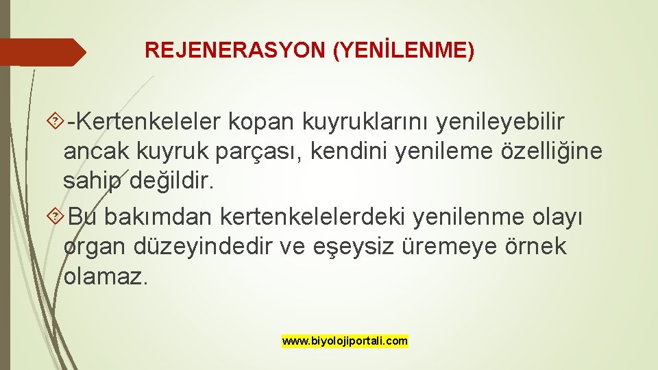 REJENERASYON (YENİLENME) -Kertenkeleler kopan kuyruklarını yenileyebilir ancak kuyruk parçası, kendini yenileme özelliğine sahip değildir.