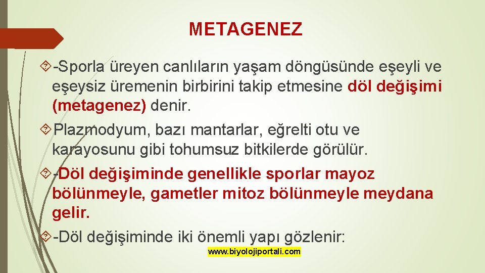 METAGENEZ -Sporla üreyen canlıların yaşam döngüsünde eşeyli ve eşeysiz üremenin birbirini takip etmesine döl