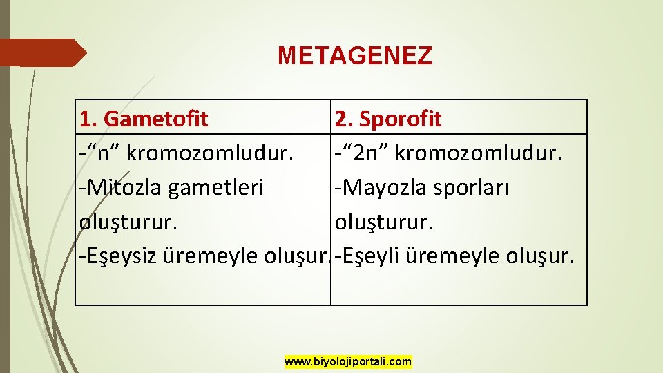 METAGENEZ 1. Gametofit 2. Sporofit -“n” kromozomludur. -“ 2 n” kromozomludur. -Mitozla gametleri -Mayozla