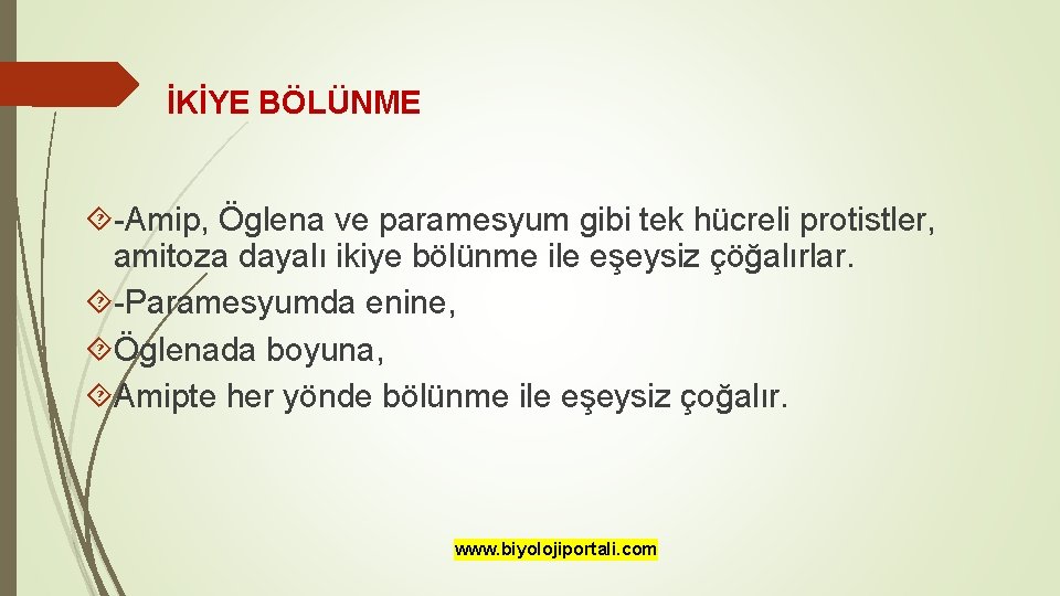 İKİYE BÖLÜNME -Amip, Öglena ve paramesyum gibi tek hücreli protistler, amitoza dayalı ikiye bölünme