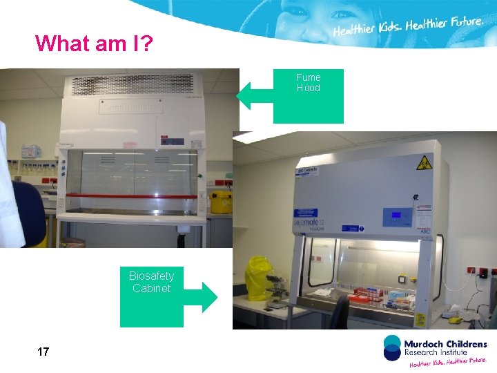 What am I? Fume Hood Biosafety Cabinet 17 