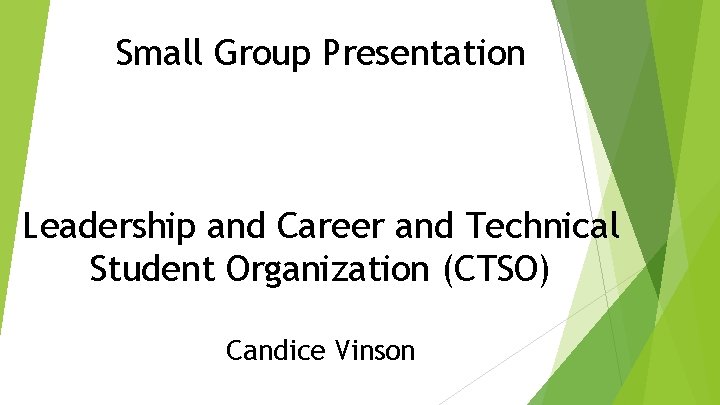Small Group Presentation Leadership and Career and Technical Student Organization (CTSO) Candice Vinson 