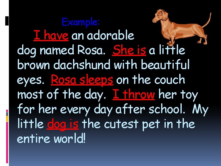 Example: I have an adorable dog named Rosa. She is a little brown dachshund