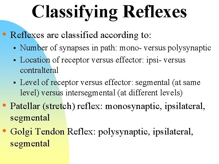 Classifying Reflexes • Reflexes are classified according to: § § § Number of synapses