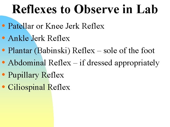 Reflexes to Observe in Lab • Patellar or Knee Jerk Reflex • Ankle Jerk