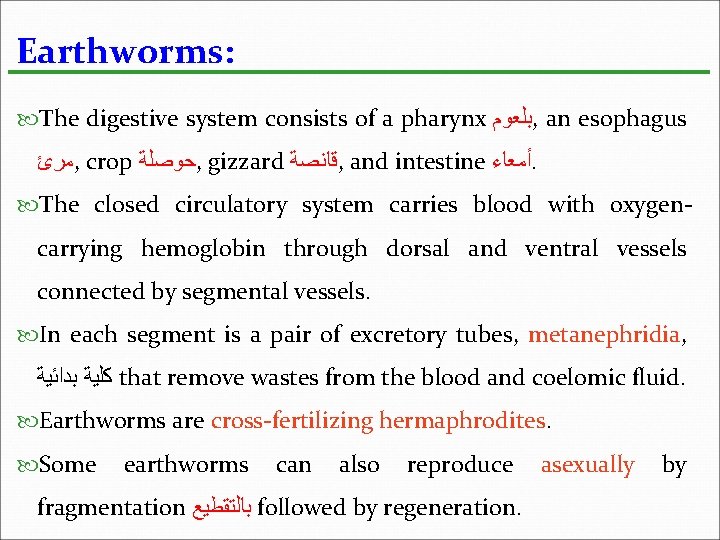Earthworms: The digestive system consists of a pharynx ﺑﻠﻌﻮﻡ , an esophagus ﻣﺮﺉ ,