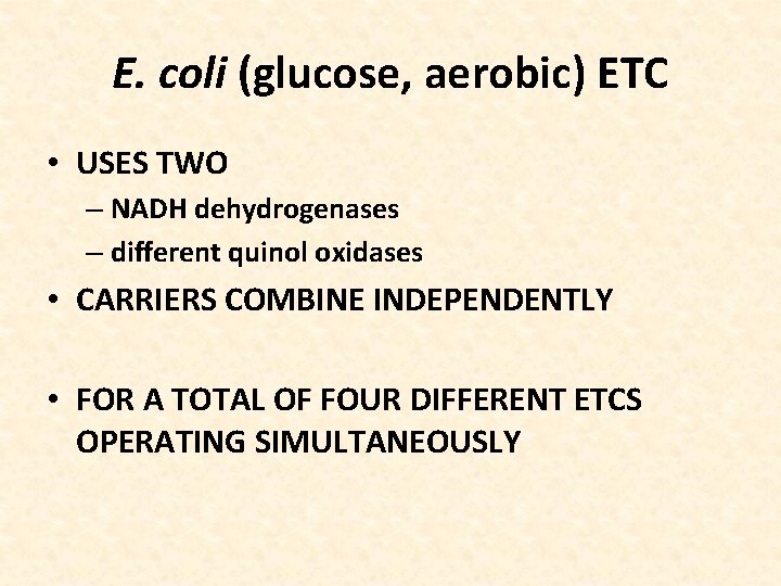 E. coli (glucose, aerobic) ETC • USES TWO – NADH dehydrogenases – different quinol