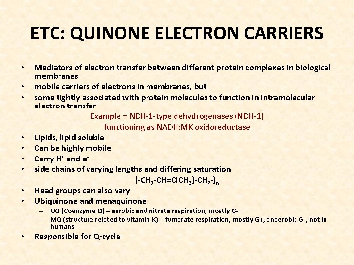 ETC: QUINONE ELECTRON CARRIERS • • • Mediators of electron transfer between different protein