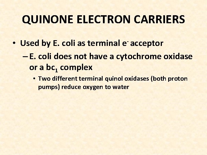 QUINONE ELECTRON CARRIERS • Used by E. coli as terminal e- acceptor – E.