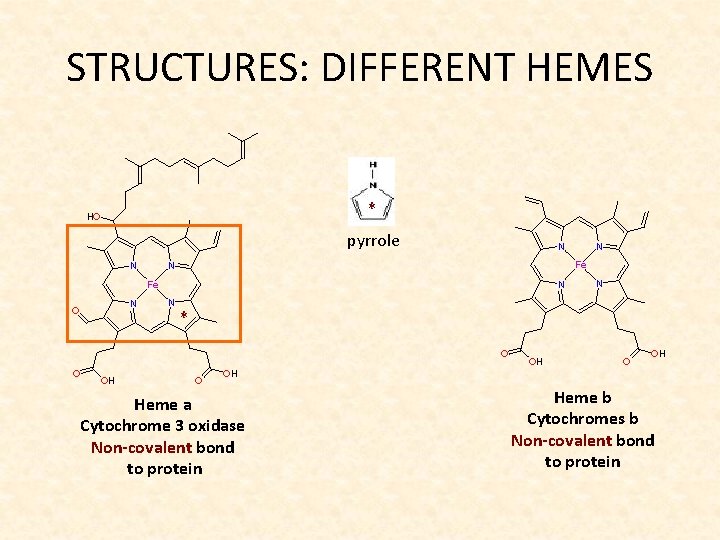STRUCTURES: DIFFERENT HEMES * pyrrole * Heme a Cytochrome 3 oxidase Non-covalent bond to