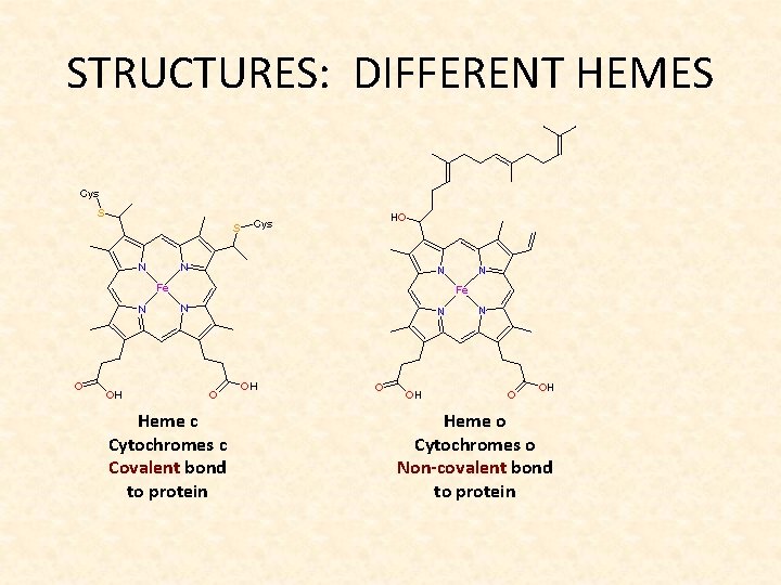 STRUCTURES: DIFFERENT HEMES Heme c Cytochromes c Covalent bond to protein Heme o Cytochromes