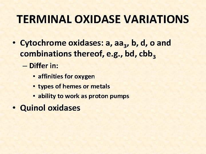 TERMINAL OXIDASE VARIATIONS • Cytochrome oxidases: a, aa 3, b, d, o and combinations